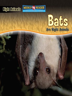 cover image of Bats Are Night Animals